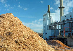 Invest in Biomass cogeneration plants